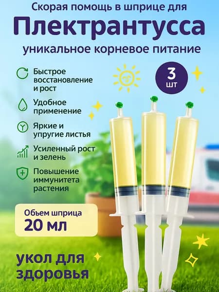 Удобрение скорая помощь для Плектрантуса
