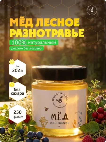 Натуральный Лесной мед, 250г, сбор с дикоросов 2025, в стеклянной банке