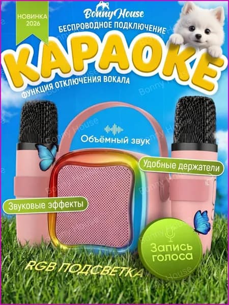 Детская караоке система с двумя беспроводными микрофонами и колонкой