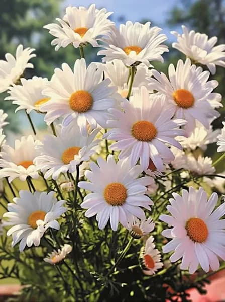Алмазная мозаика Картина стразами 30X40 см Маленькие ромашки