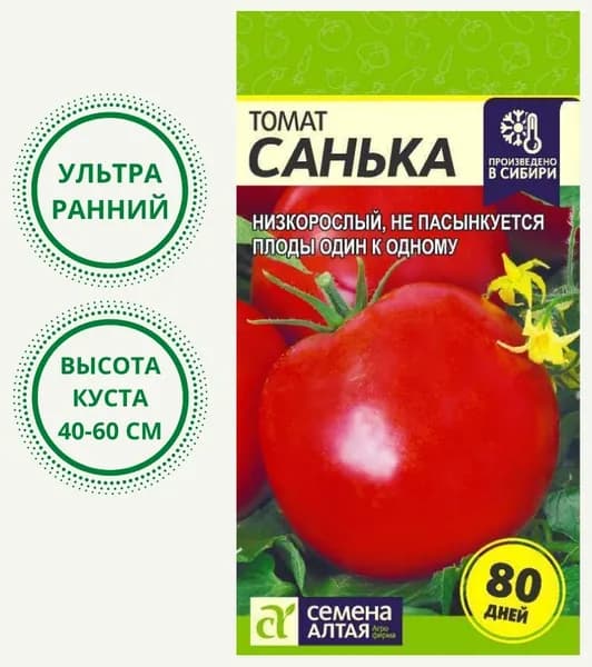 Низкорослый томат Санька (Семена Алтая)
