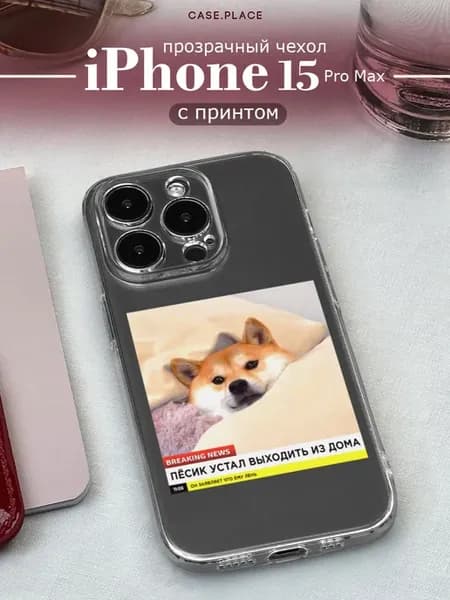 Чехол на iPhone 15 Pro Max смешной