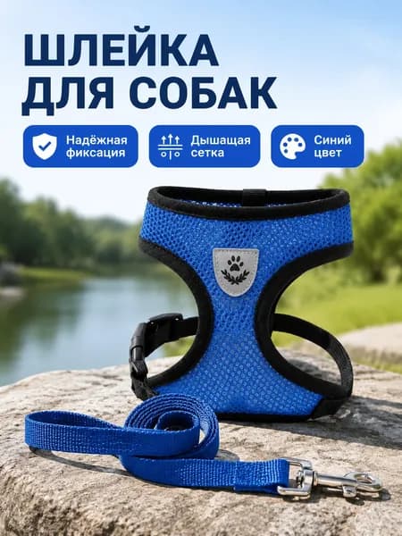 Собачья шлейка с поводком, размер S (обхват груди 34 см), синяя
