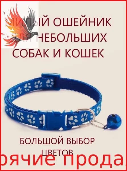 Ошейник