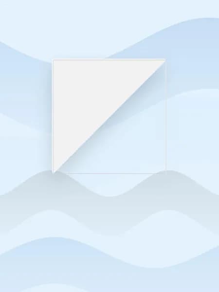 Защитное стекло для R36Max