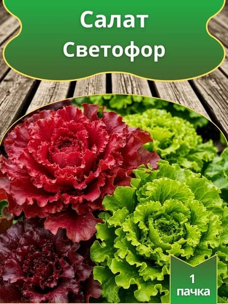 Салат Светофор смесь, семена 10 шт.