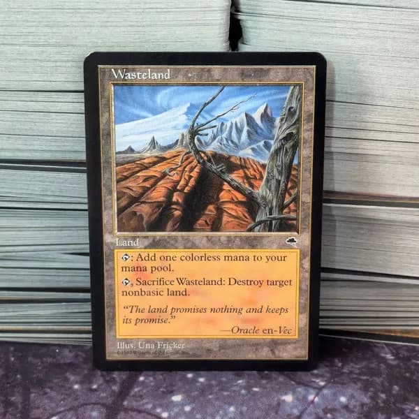 Wasteland Пустошь MTG Земля Карта для коллекции