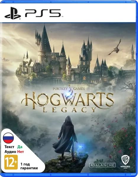 Игра Hogwarts Legacy (PlayStation 5, Русские субтитры)
