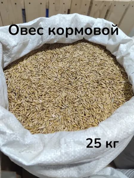 Овес кормовой для животных 25 кг