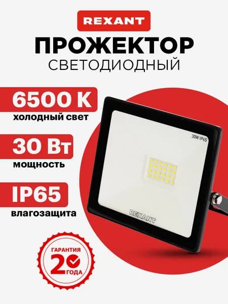 Прожектор светодиодный уличный 30 Вт, 6500К холодный свет, IP65, черный корпус, REXANT