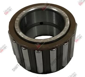 Подшипник роликовый игольчатый - DS100-1701085