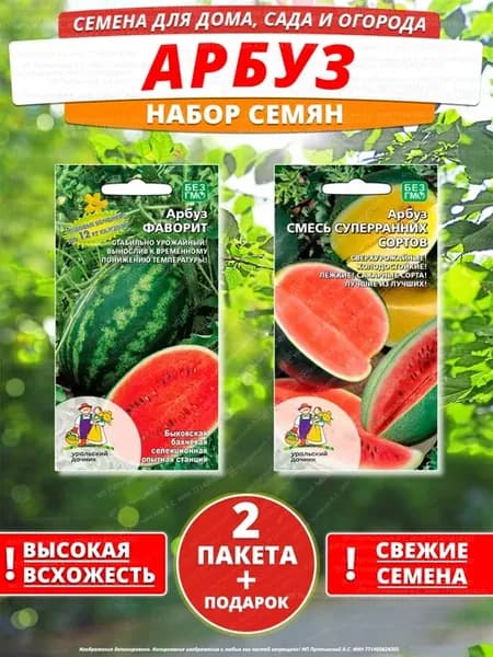 Семена арбуз для дома сада посадки