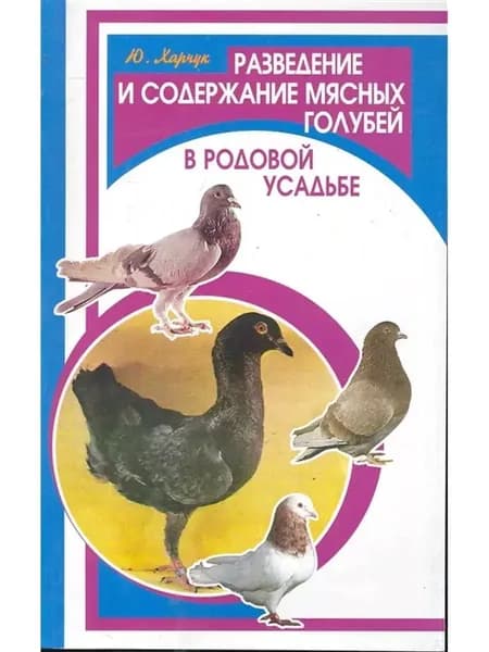 Разведение и содержание мясных голубей в родовой усадьбе