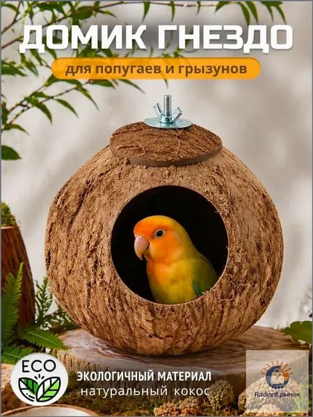 Кокосовое гнездо для попугая из натурального материала, диаметр 1013 см, качественный экземпляр