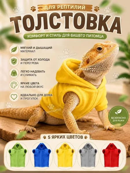 Худи с изображением бородатого агамы