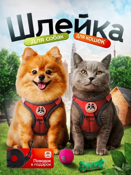 Шлейка для собак мелких и средних пород и кошек, с поводком, обхват груди M 35-39 см, цвет красный