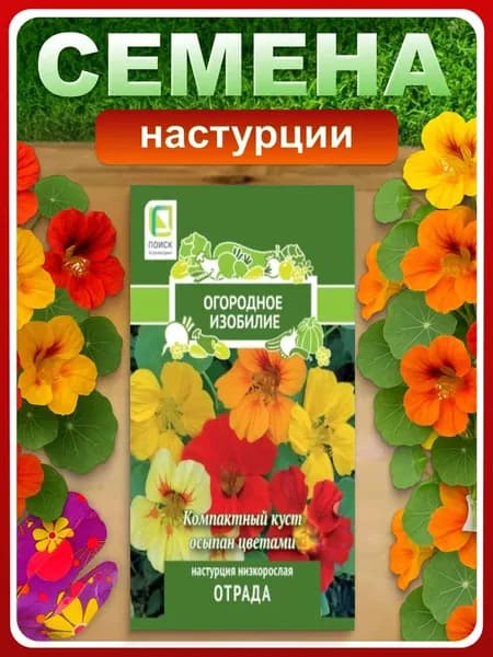 Семена Настурция низкорослая "Отрада" 1 гр, однолетние цветы для дачи, сада и огорода, клумбы, в открытый грунт, в контейнер, на балкон, в ящик.