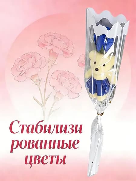 Стабилизированные цветы Пионовидная роза