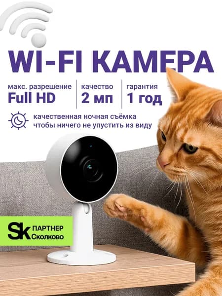 Камера WiFi для дома 2 МП