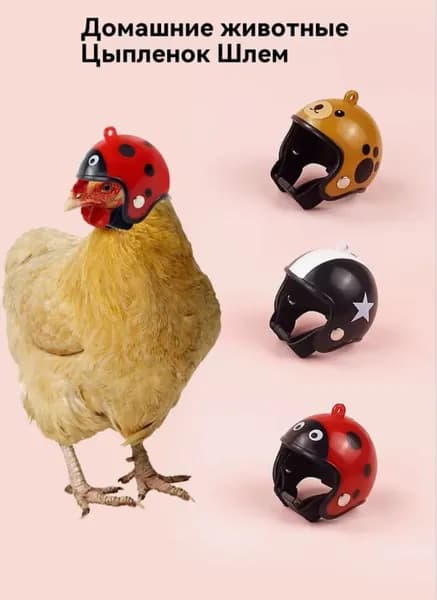Pet Products Защитный шлем для цыплят, 2 шт.