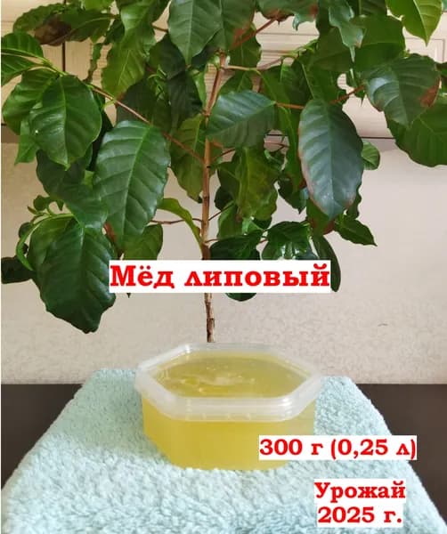 Мед натуральный липовый, 0,3 кг