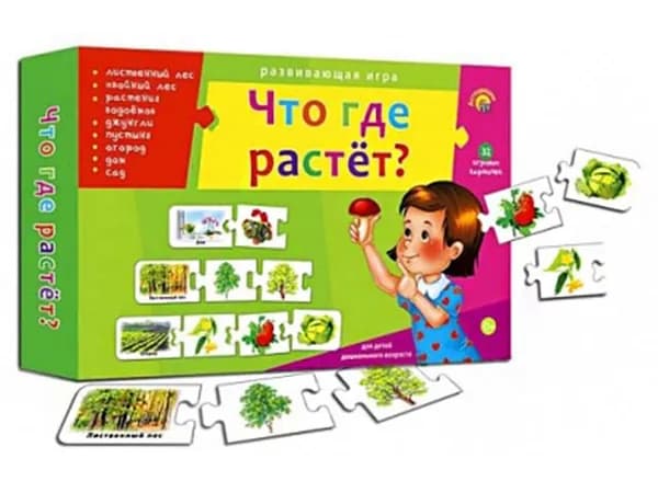 Игра развивающая "Ассоциации-цепочкой. Что где растет ?