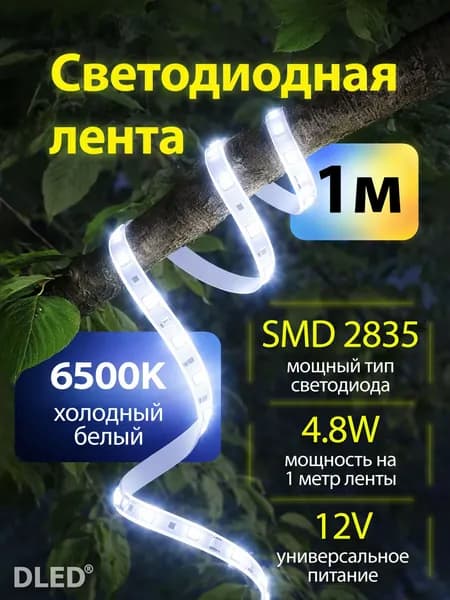 Светодиодная лента 60 LED на метр, питание 12V бренд DLED, 1 метр, цвет - Холодный Белый