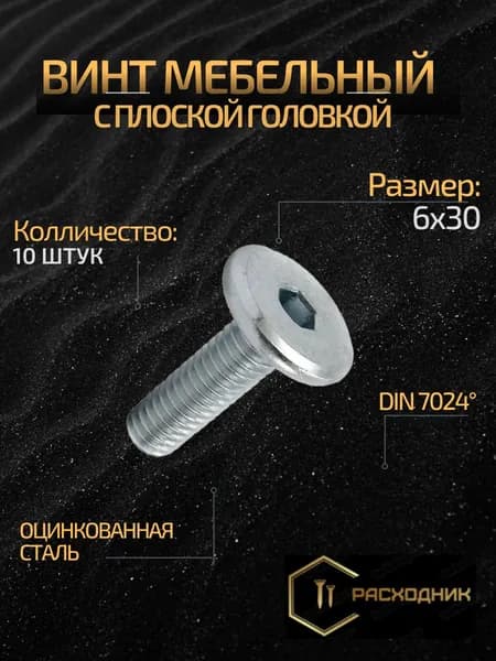 ZITAR Болт М6 x 6 x 30 мм, головка: Плоская, 10 шт. 100 г