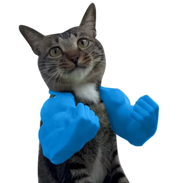 3D-печать: синяя мышечная рука для кота на шею