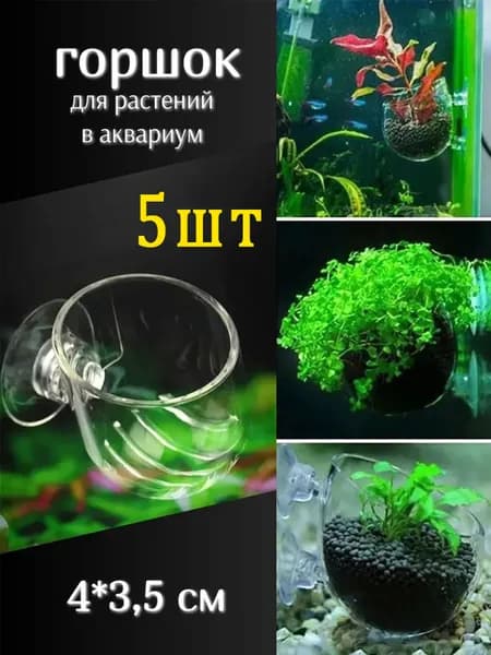 Горшочек стакан для посадки аквариумных растений стеклянный на присосках. Количество: 5 шт.
