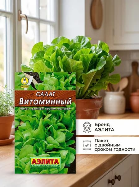 Семена Салат Витаминный, 1 шт.