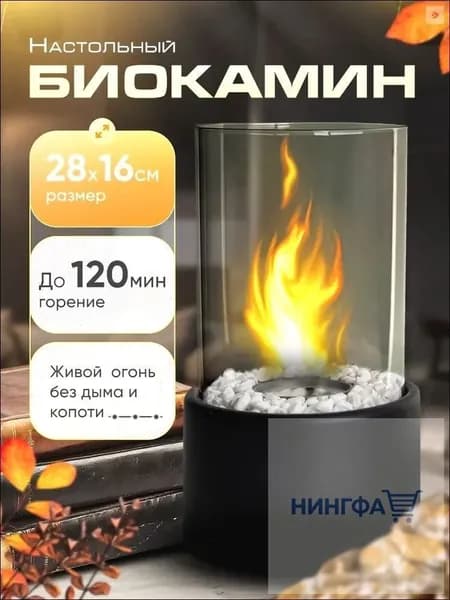 Биокамин Настольная установка