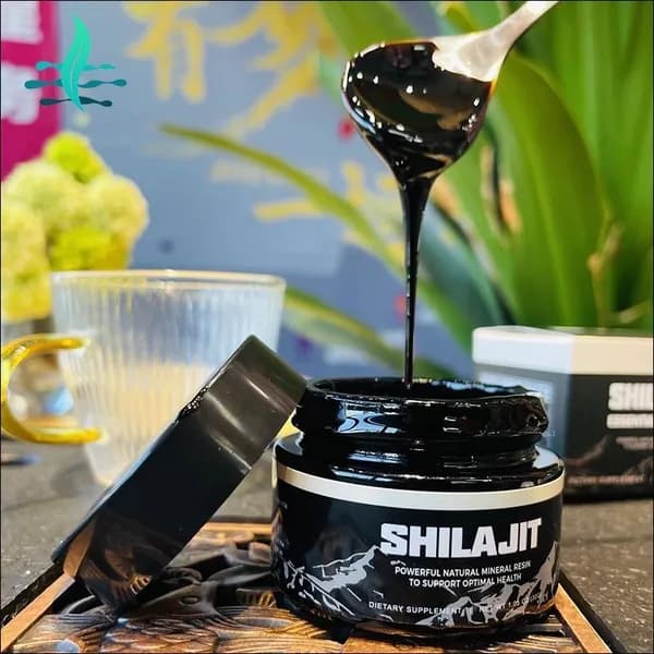 Shilajit Resin Помазание Смоляная паста 50 г