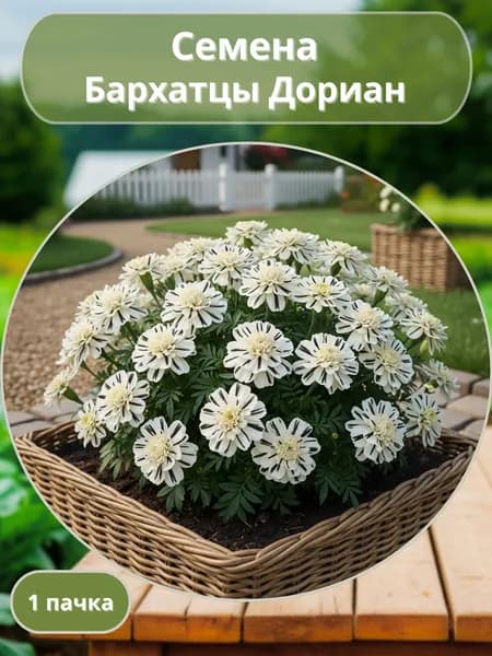 Бархатцы Дориан, семена 10 шт