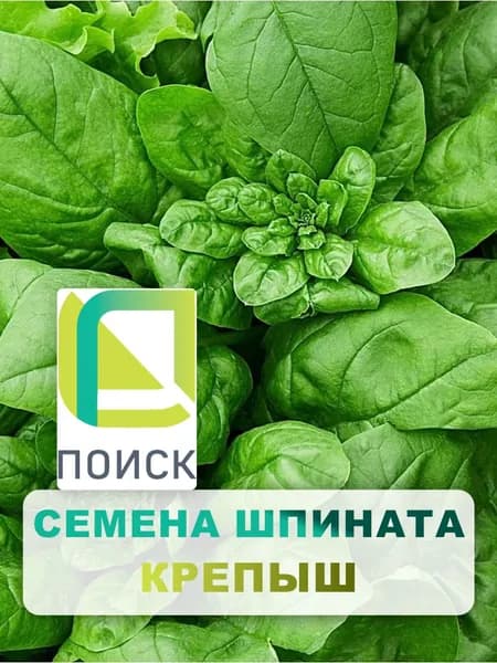 Семена Шпинат "Крепыш" 3 г, однолетняя зелень, зелень и пряности для дома, дачи и огорода, в открытый грунт, на балкон, в контейнер, на подоконнике, в домашних условиях