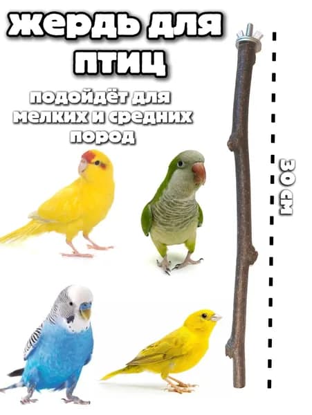 жердь для попугая, жердь для птиц 30 см
