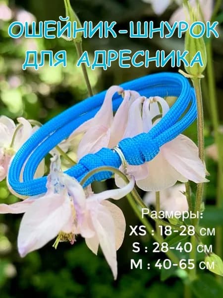 Ошейник-Шнурок для адресника из паракорда, небесный, S (28-40см)