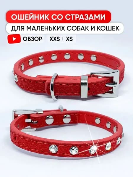 Кожаный ошейник для собак мелких пород и кошек