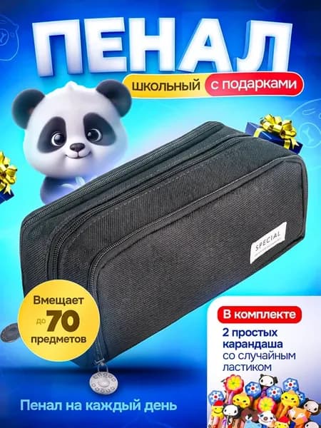 Пенал школьный вместительный подростковый