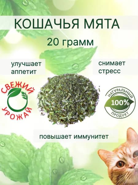 Кошачья мята сушеная лакомство для кошек и котов 20 грамм в пакете (измельченная). Котовник рассыпной - трава для когтеточки, приучения к месту, коррекции поведения, успокоительное, антистресс