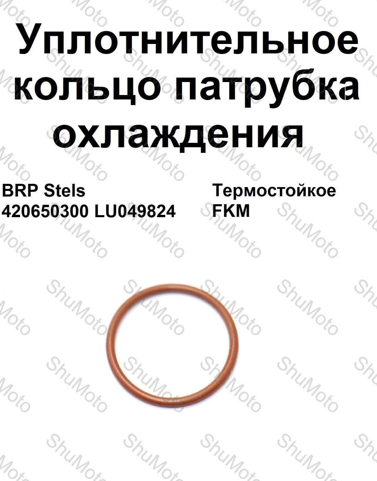 Уплотнительное кольцо патрубка охлаждения BRP Stels 420650300 LU049824