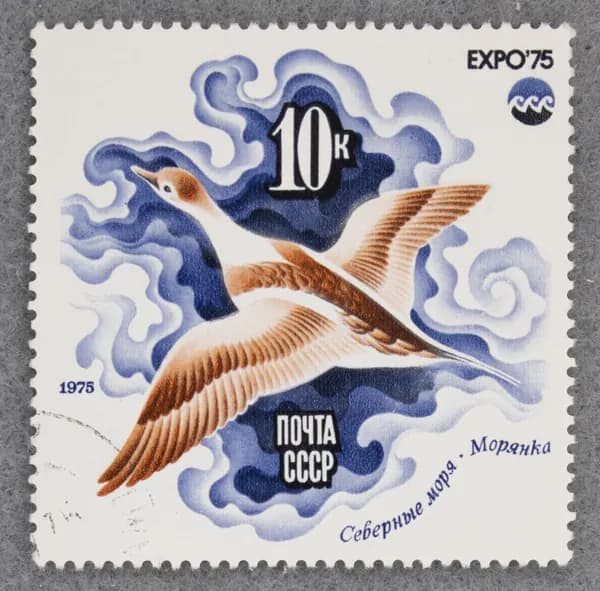 Почтовая марка "Утка морянка. Северные моря". Номинал 10 коп. СССР. 1975 год. (Загорский 4429)