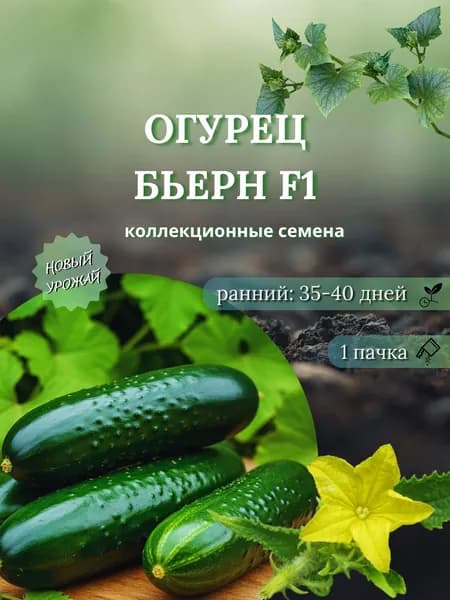 Огурец Бьерн F1, коллекционные семена, 10 шт.