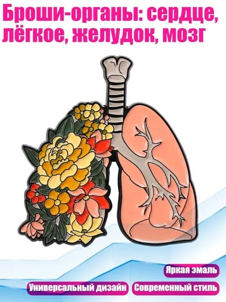 Броши-органы: сердце, лёгкое, желудок, мозг, - XZ6551