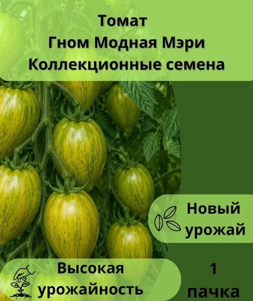 Коллекционные семена томата Гном Модная Мэри, 1пачка