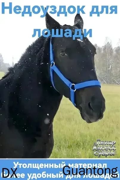 Недоуздок для лошади COB синий
