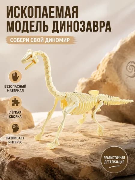 Ископаемая Модель Динозавра