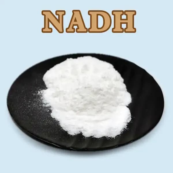 10 г 99.9% NADH- Никотинамид Аденин Динуклеотид