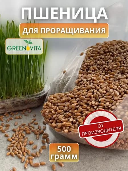 Пшеница для проращивания витграсс микрозелень 500 гр.