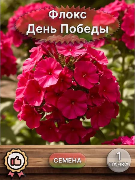 Флокс День Победы, семена 10 шт.